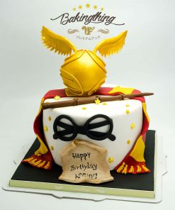 เค้ก 3 มิติ Harry Potter