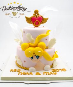เค้ก 3 มิติ Sailor moon
