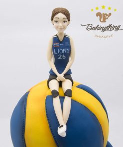 เค้ก 3 มิติ Volleyball