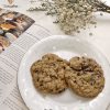 chocolate chip oatmeal cookies