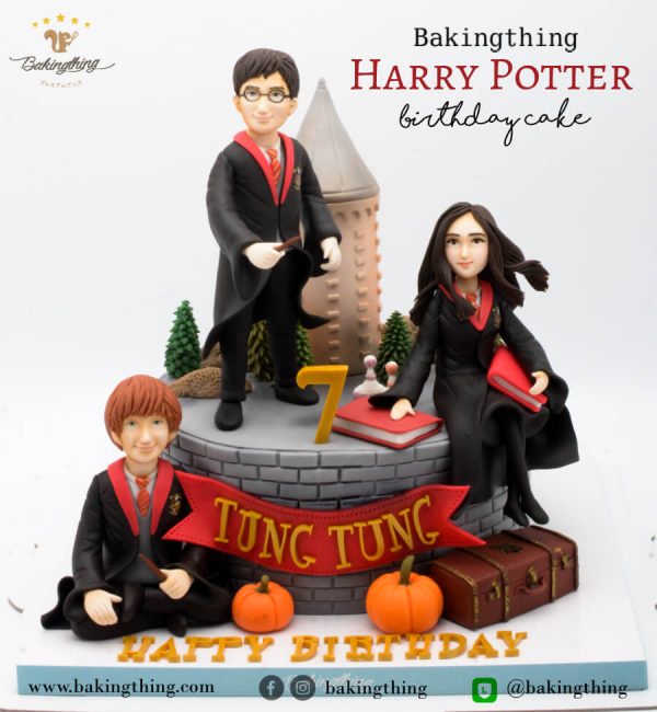 เค้ก 3 มิติ Harry Potter