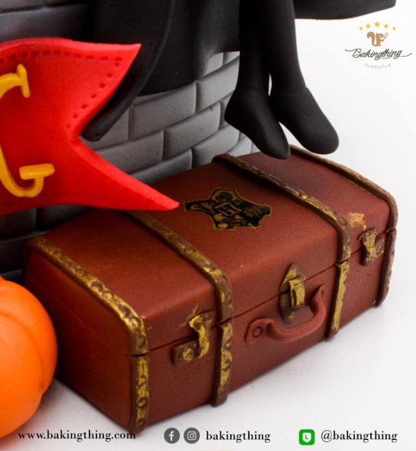 เค้ก 3 มิติ Harry Potter